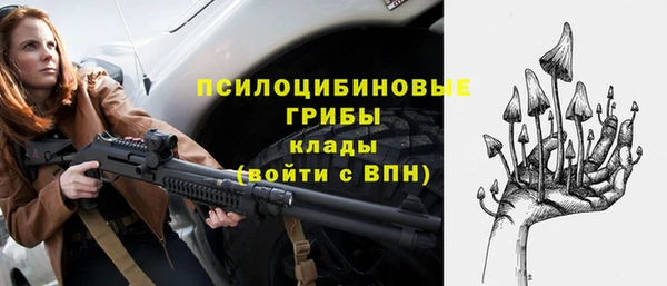сатива Алексеевка