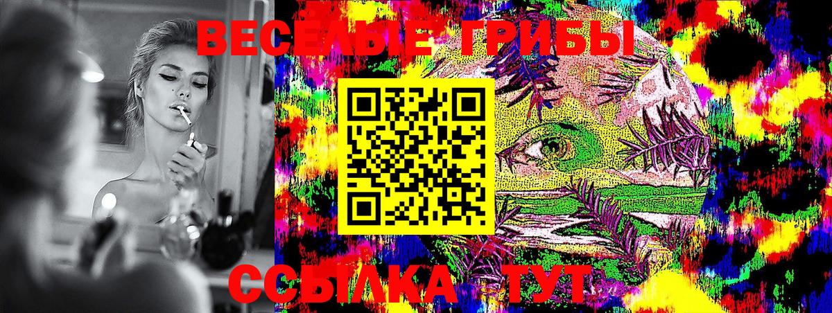Псилоцибиновые грибы Psilocybe  Вход с VPN  Коркино 